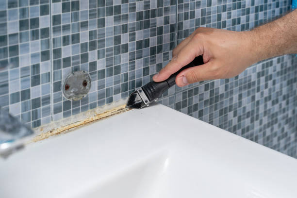 Best Residential Mold Remediation in Senath, MO